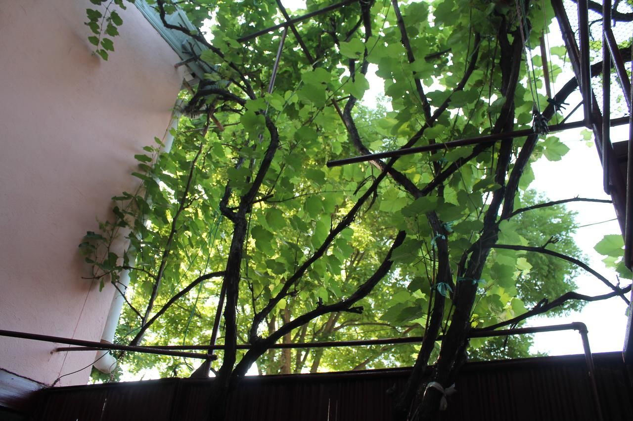 Хостелы Hostel Old City Sololaki Тбилиси-12