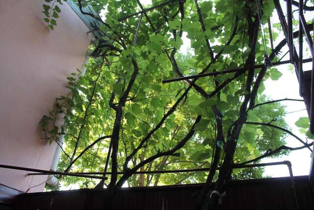 Хостелы Hostel Old City Sololaki Тбилиси-11